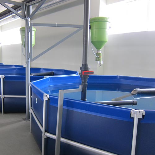 Piscinas estanque para piscicultura en edificio