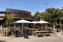 Guarda-sol da Bahia no terraço de um bar na praia.