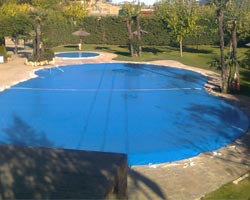 Macro covered in oval pool