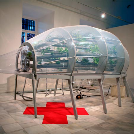 Urban space hecho en ETFE con plantas en interior
