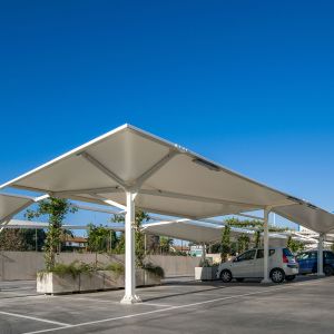 Canopy and netting to encourage natural plant growth.