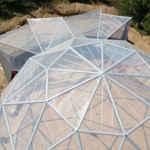 View of the dome from above.