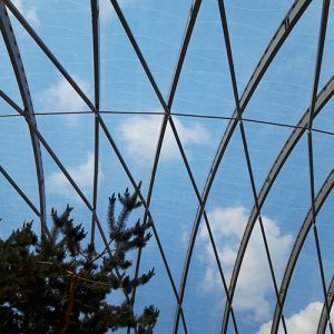 Transparency of the ETFE cushions of the shopping center.