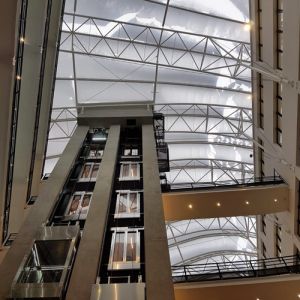 ETFE cover supporting the snow.