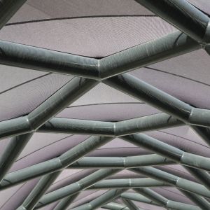 Interior of the gangway membrane