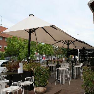 Three parasols model Indus