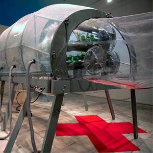 Urban space hecho en ETFE con plantas en interior