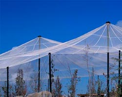 Estructura tensada transparente en forma de carpa